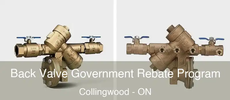  Back Valve Government Rebate Program Collingwood - ON