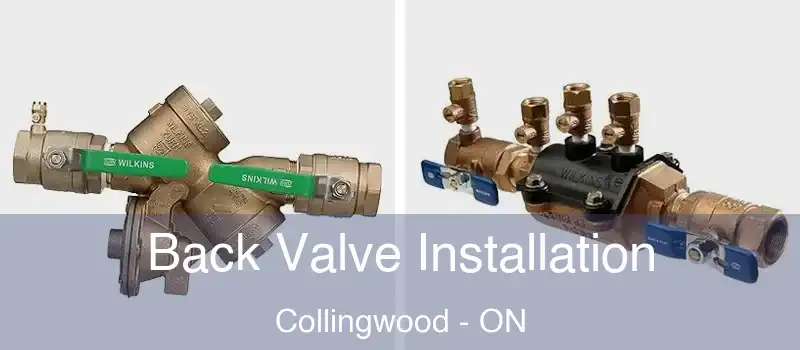  Back Valve Installation Collingwood - ON