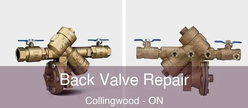  Back Valve Repair Collingwood - ON