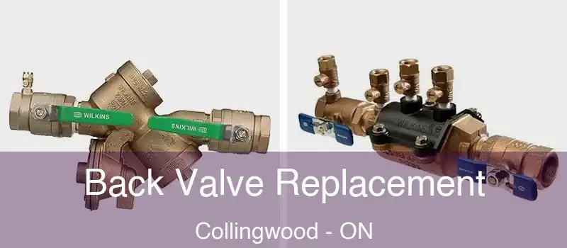  Back Valve Replacement Collingwood - ON