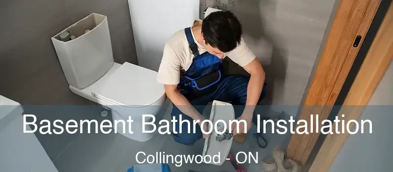  Basement Bathroom Installation Collingwood - ON