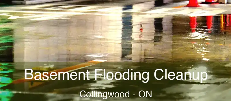  Basement Flooding Cleanup Collingwood - ON