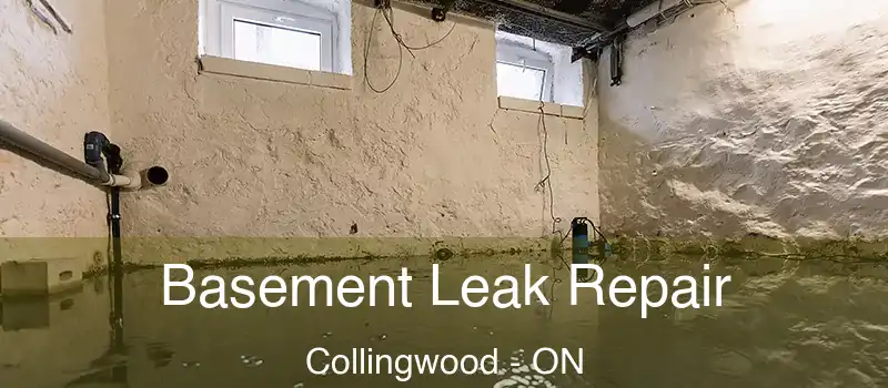  Basement Leak Repair Collingwood - ON