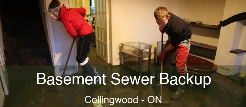  Basement Sewer Backup Collingwood - ON