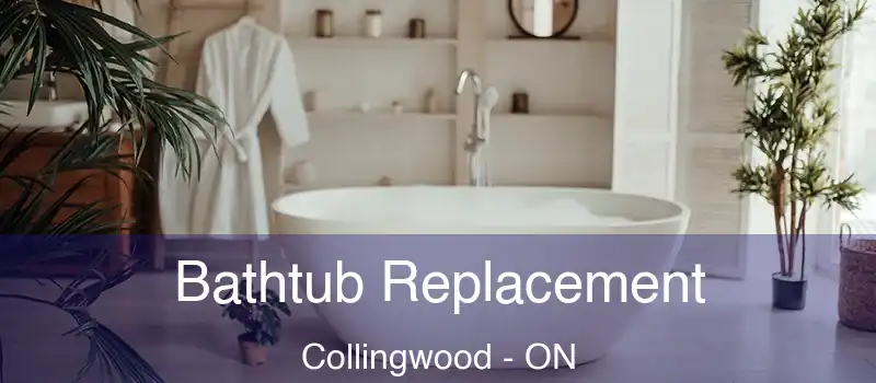  Bathtub Replacement Collingwood - ON