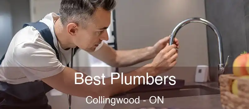  Best Plumbers Collingwood - ON