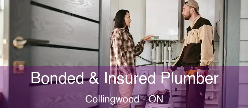  Bonded & Insured Plumber Collingwood - ON