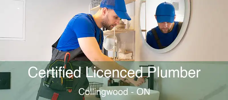  Certified Licenced Plumber Collingwood - ON