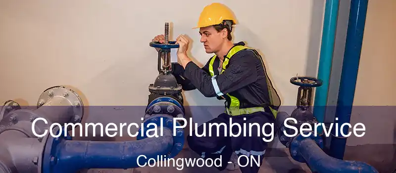  Commercial Plumbing Service Collingwood - ON