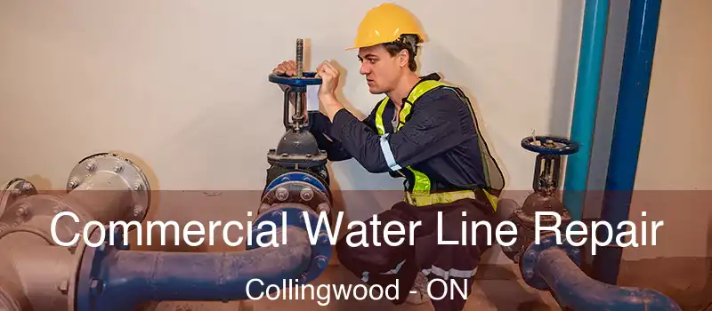  Commercial Water Line Repair Collingwood - ON