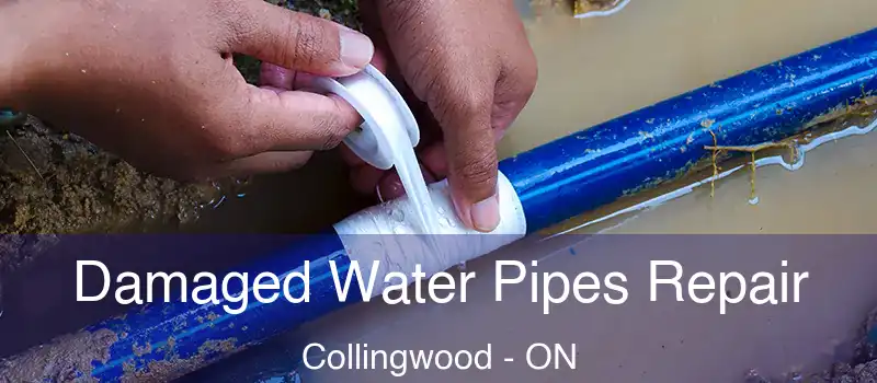  Damaged Water Pipes Repair Collingwood - ON