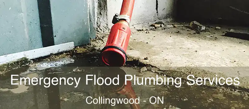  Emergency Flood Plumbing Services Collingwood - ON