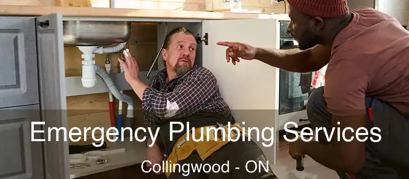  Emergency Plumbing Services Collingwood - ON