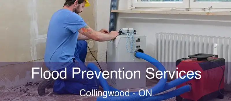  Flood Prevention Services Collingwood - ON