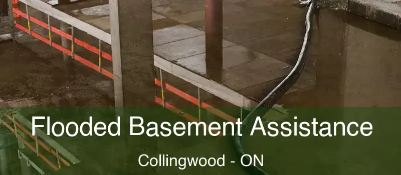  Flooded Basement Assistance Collingwood - ON
