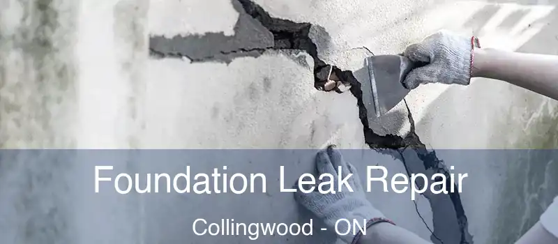  Foundation Leak Repair Collingwood - ON