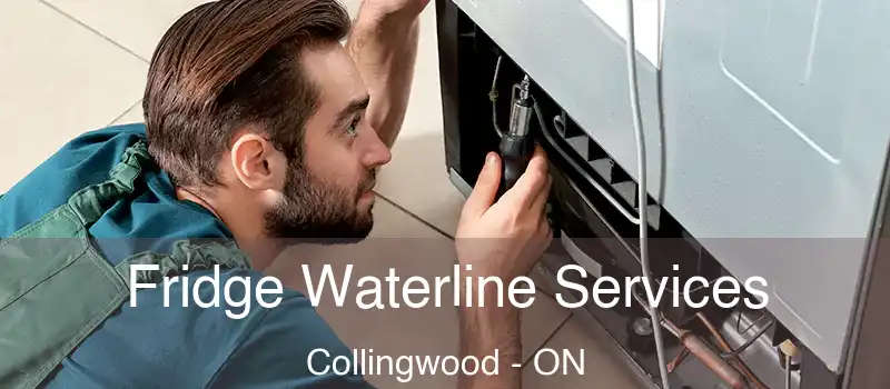  Fridge Waterline Services Collingwood - ON
