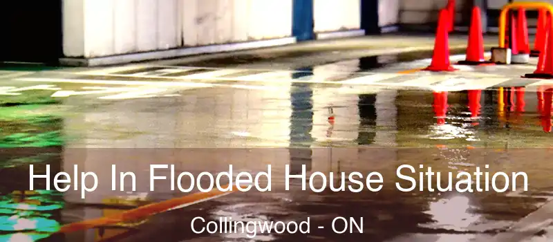  Help In Flooded House Situation Collingwood - ON