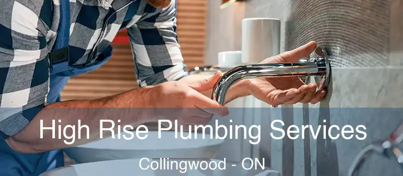  High Rise Plumbing Services Collingwood - ON