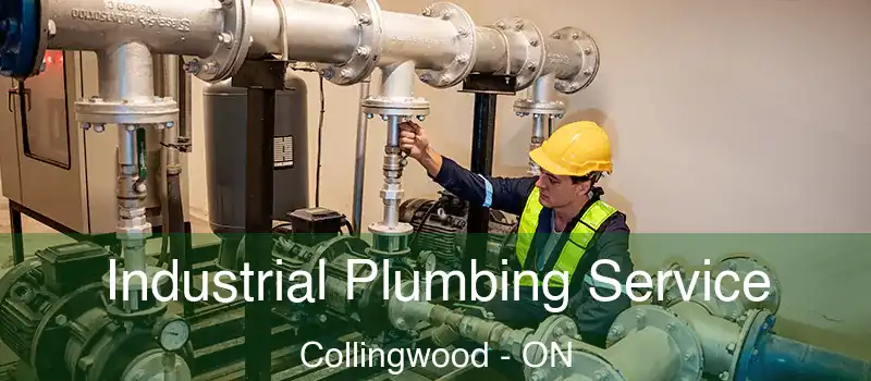  Industrial Plumbing Service Collingwood - ON