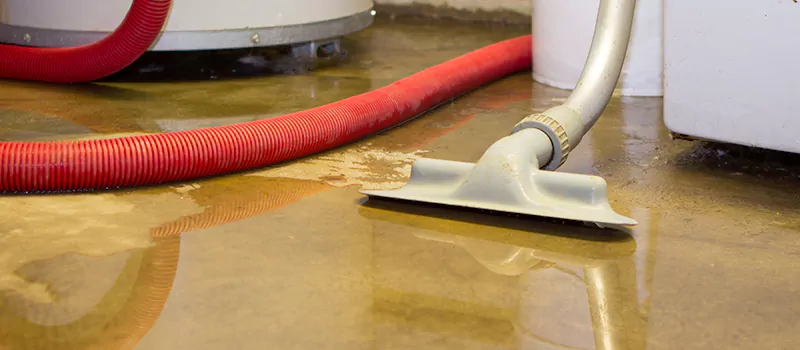 Professional Sewer Backup Cleanup Services in Collingwood, ON