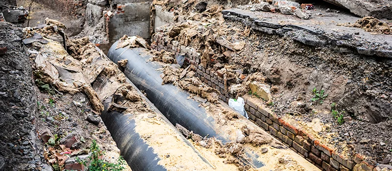 Commercial Sewer Tree Roots Damage Solutions in Collingwood, ON