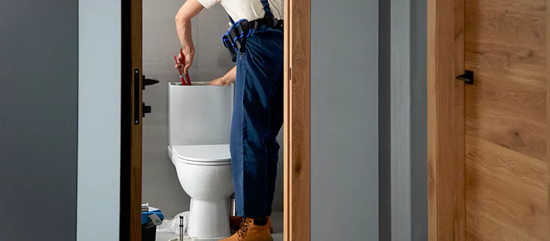 Plumber for Toilet Installation in Collingwood, Ontario