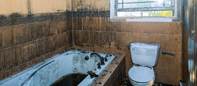 Residential Water Damage Restoration in Collingwood, ON