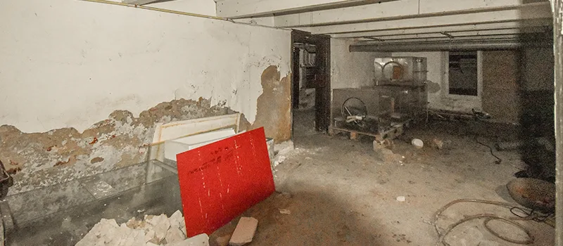 Basement Water Flooding Restoration in Collingwood, ON