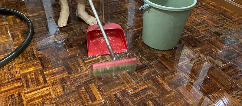 Water Removal And Restoration Services in Collingwood, ON