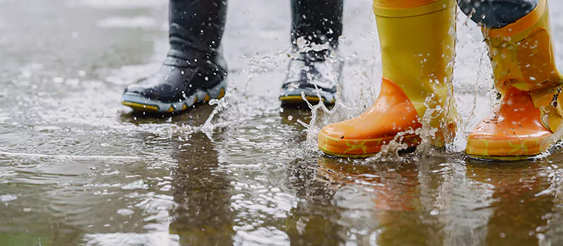 Emergency Flood Recovery Plumbing Services in Collingwood, ON