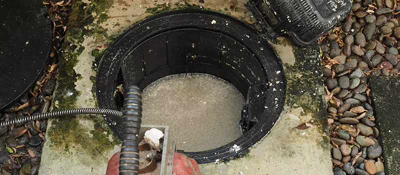 Hydro Jetting For Root Removal in Collingwood, Ontario