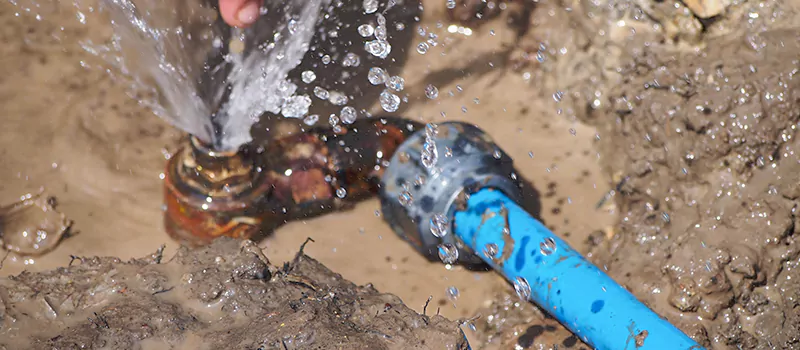 Reasons to Replace Your Lead Pipes in Collingwood, ON