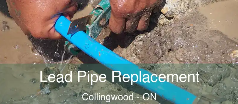  Lead Pipe Replacement Collingwood - ON