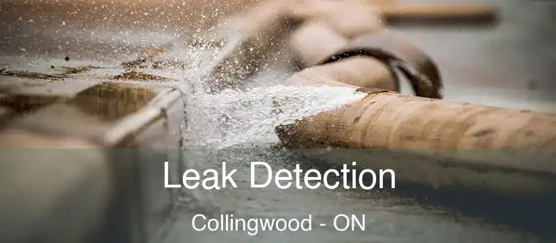  Leak Detection Collingwood - ON