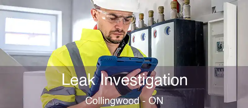  Leak Investigation Collingwood - ON
