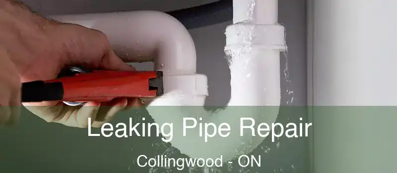  Leaking Pipe Repair Collingwood - ON
