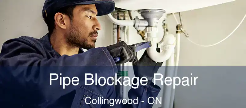  Pipe Blockage Repair Collingwood - ON