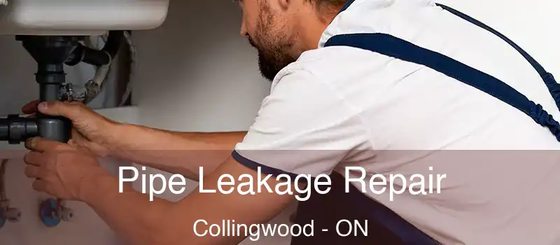  Pipe Leakage Repair Collingwood - ON