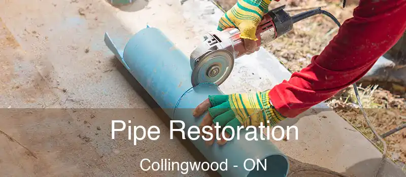  Pipe Restoration Collingwood - ON