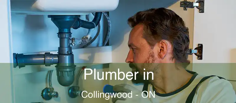  Plumber in Collingwood - ON