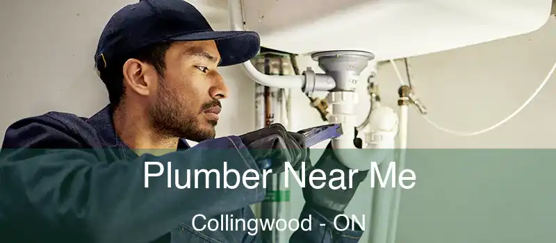  Plumber Near Me Collingwood - ON