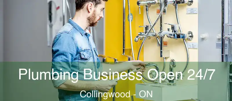  Plumbing Business Open 24/7 Collingwood - ON