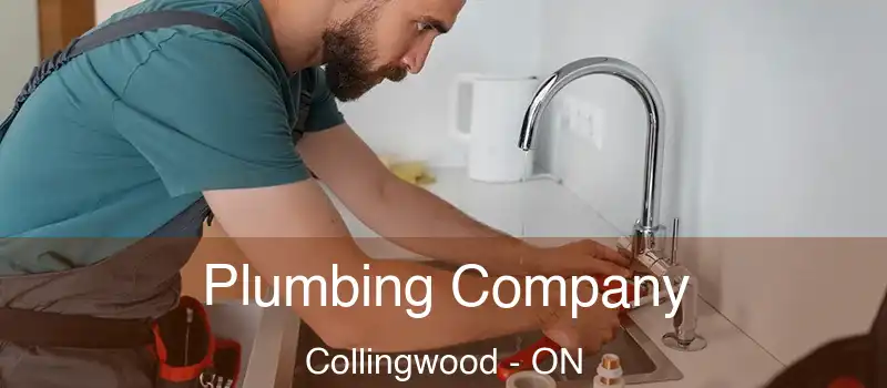  Plumbing Company Collingwood - ON