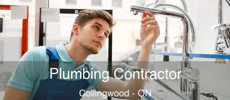  Plumbing Contractor Collingwood - ON