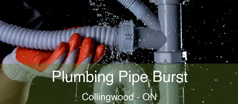  Plumbing Pipe Burst Collingwood - ON