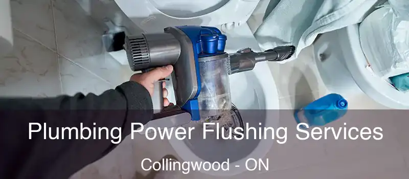  Plumbing Power Flushing Services Collingwood - ON