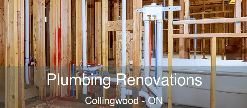  Plumbing Renovations Collingwood - ON