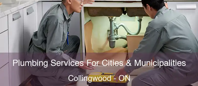  Plumbing Services For Cities & Municipalities Collingwood - ON