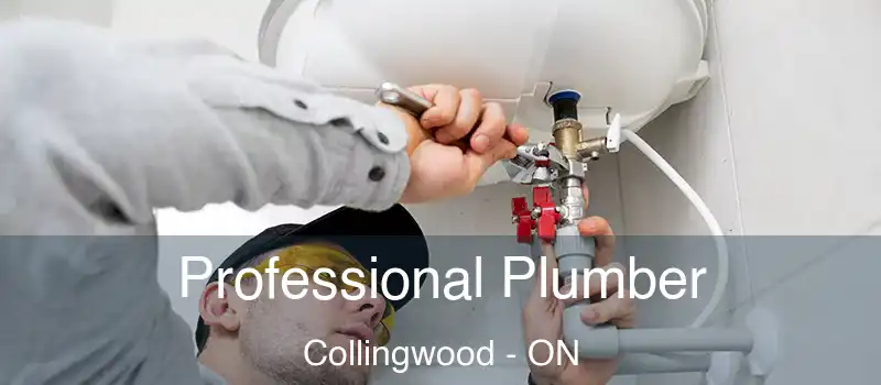  Professional Plumber Collingwood - ON